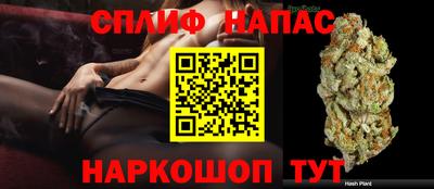 ГАЛЛЮЦИНОГЕННЫЕ ГРИБЫ Обнинск