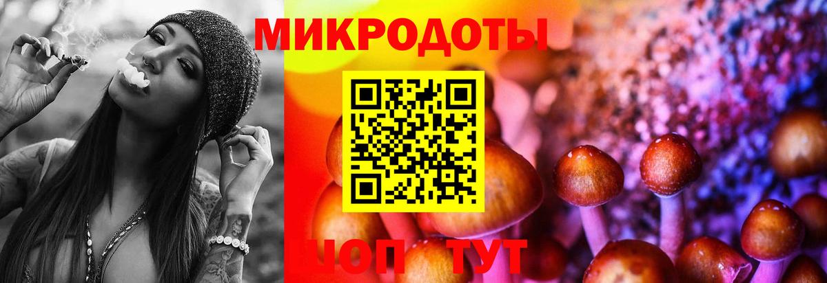 Галлюциногенные грибы Magic Shrooms Карасук