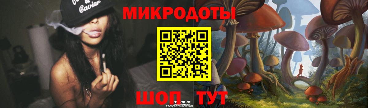 Псилоцибиновые грибы мицелий  Псилоцибиновые грибы мицелий  Карасук  где найти   Вход с VPN 
